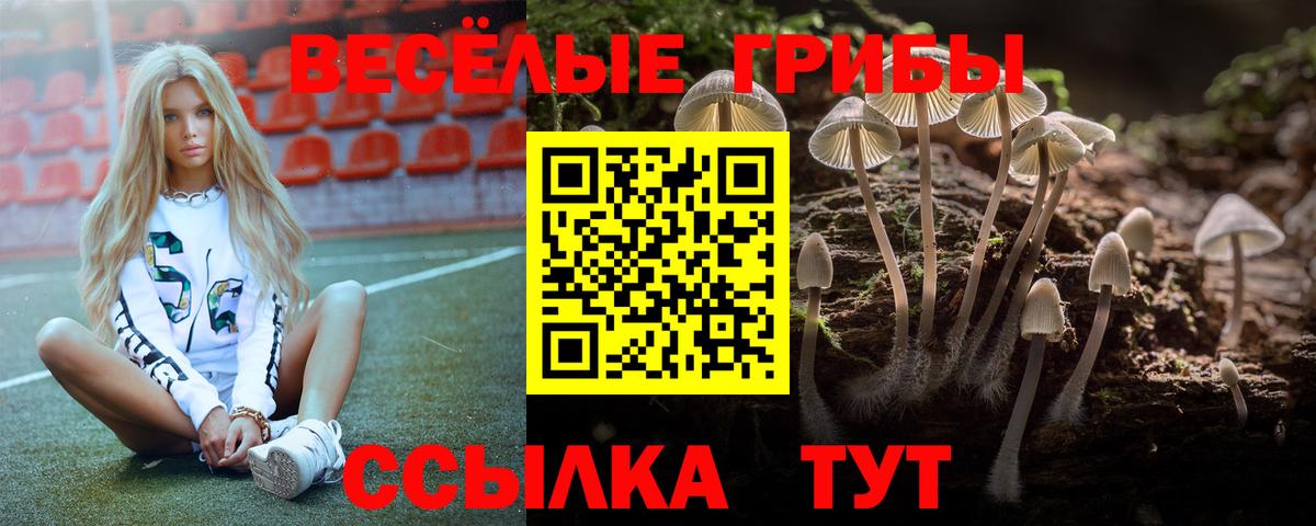 Галлюциногенные грибы MAGIC MUSHROOMS  Вход с VPN  Котельники 
